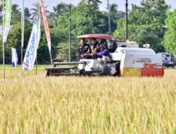 Perum Bulog Sebut El Nino Menjadi Tantangan Pangan Nasional dengan Harga Pupuk yang Meningkat