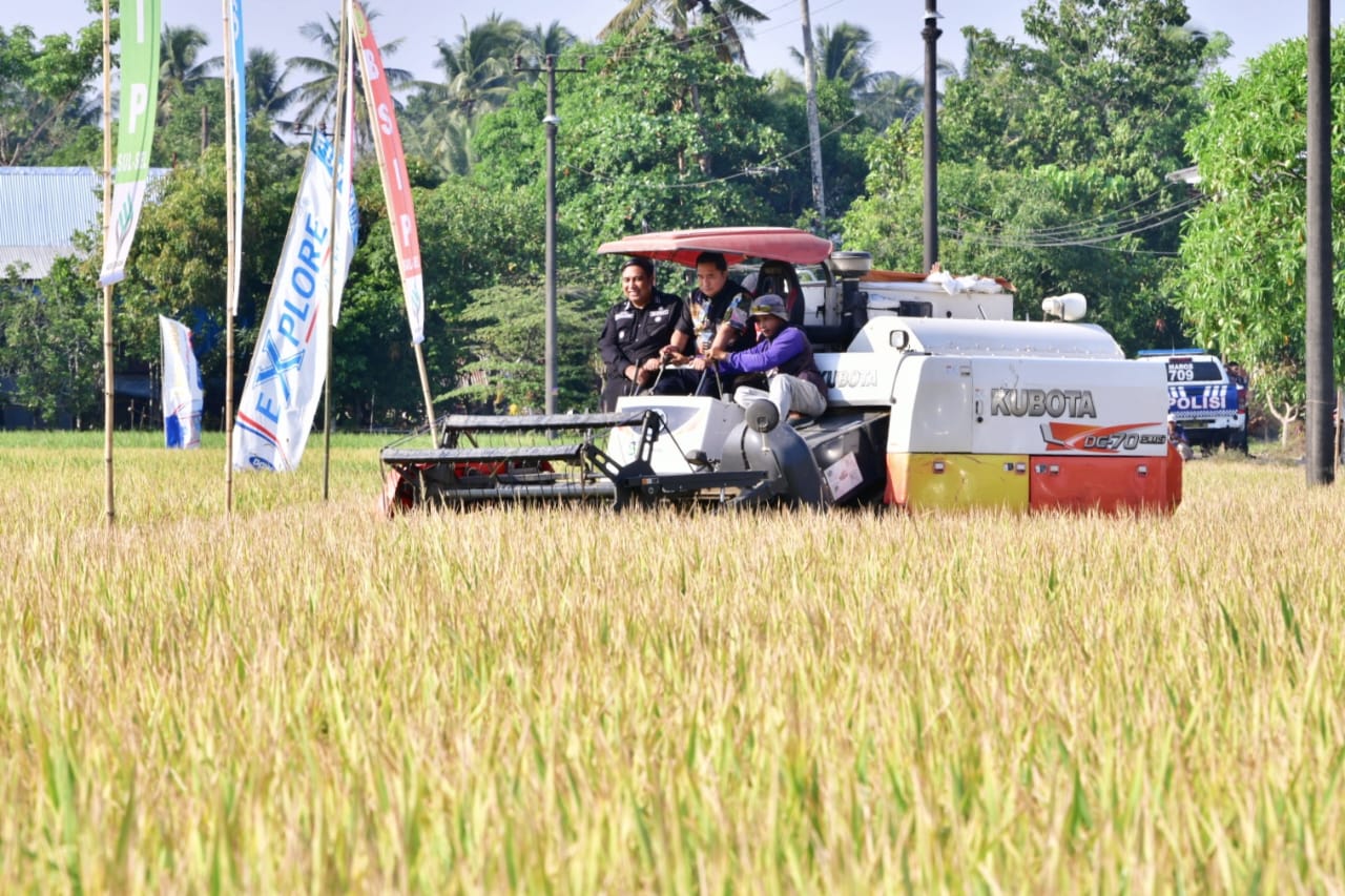 Perum Bulog Sebut El Nino Menjadi Tantangan Pangan Nasional dengan Harga Pupuk yang Meningkat