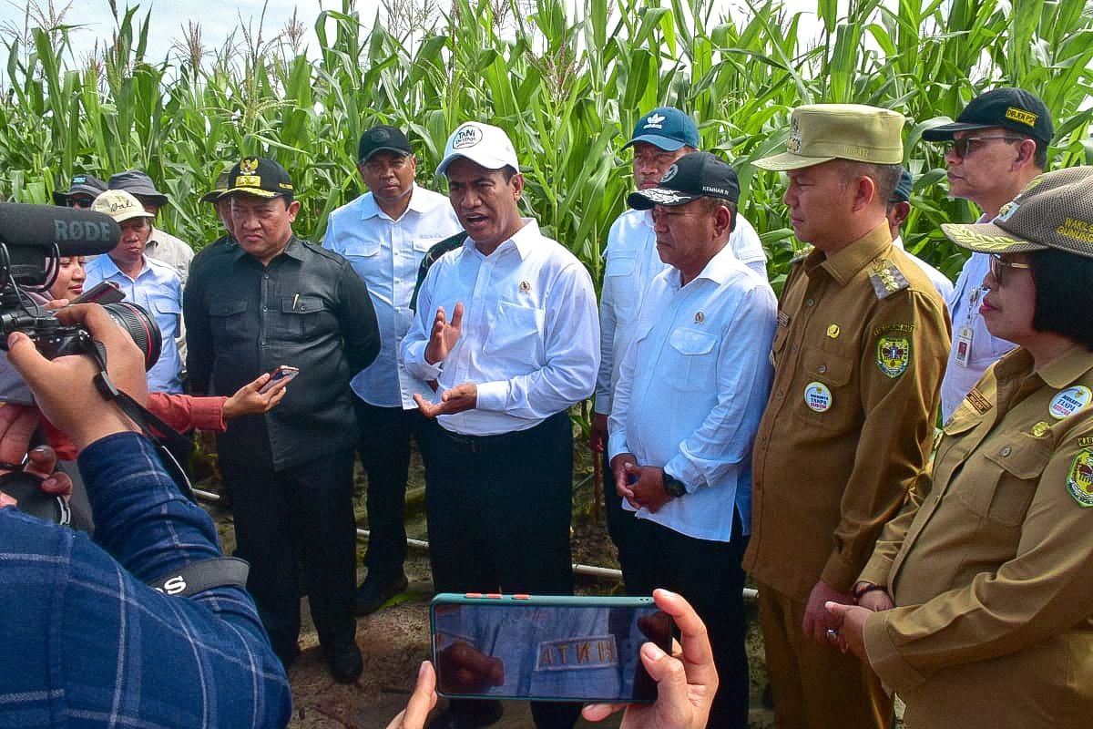 Menteri Pertanian Amran Memastikan Food Estate Tetap Berjalan Lancar: Tidak Perlu Diributkan!