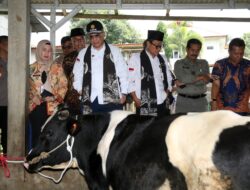 Menteri Pertanian Mendorong Pasuruan untuk Meningkatkan Populasi Sapi Perah melalui Koperasi Unit Desa