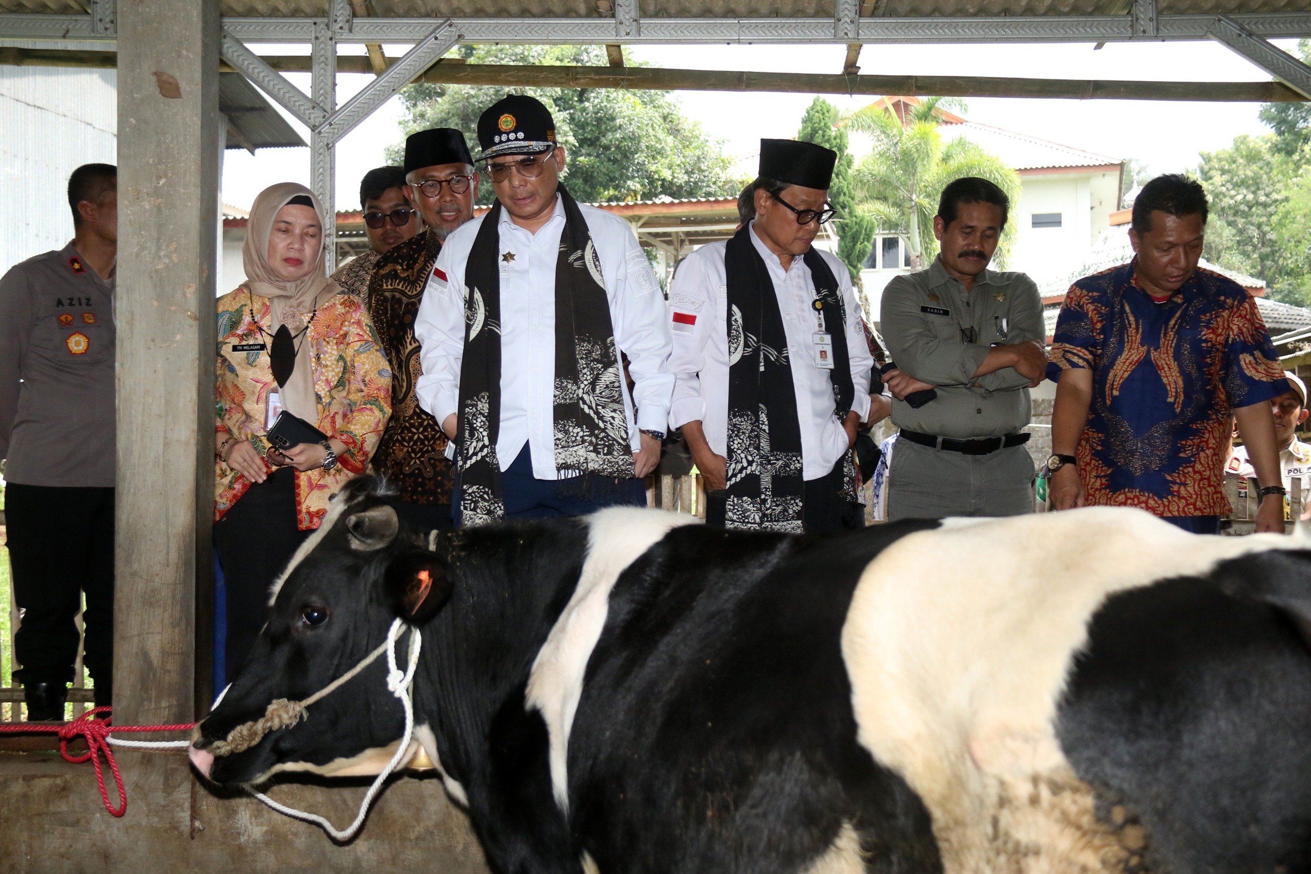 Menteri Pertanian Mendorong Pasuruan untuk Meningkatkan Populasi Sapi Perah melalui Koperasi Unit Desa