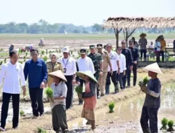 Jokowi Mendorong Petani untuk Menanam Padi secepatnya dan Memastikan Kemudahan dalam Memperoleh Pupuk Bersubsidi