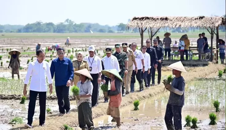 Jokowi Mendorong Petani untuk Menanam Padi secepatnya dan Memastikan Kemudahan dalam Memperoleh Pupuk Bersubsidi