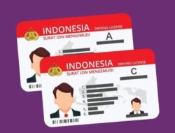 Indonesia MEMBUKA Peluang Internasional di Asia Tenggara pada Tahun 2025