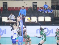Daftar Pemain Yogya Falcons di Proliga 2025: Wawasan Terkini