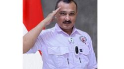 Ferdinand Sebut PSI ‘Anak Gajah’ yang Ingin Prabowo Jatuh
